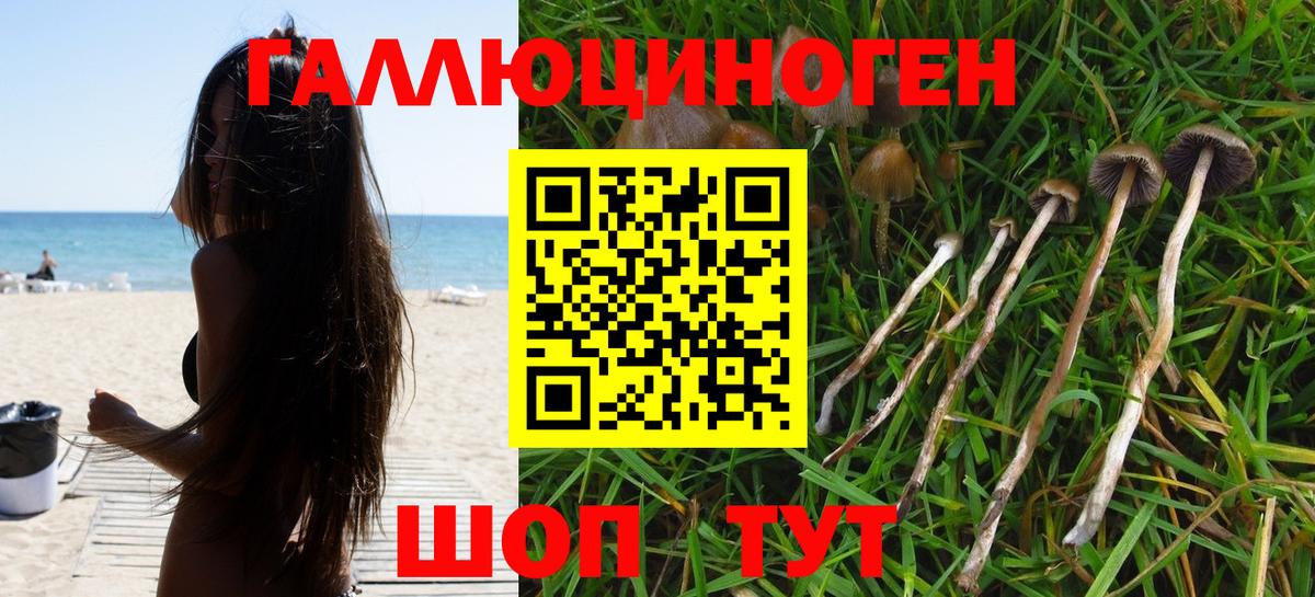 наркотики  Галлюциногенные грибы Psilocybe  Вход с VPN  Югорск 