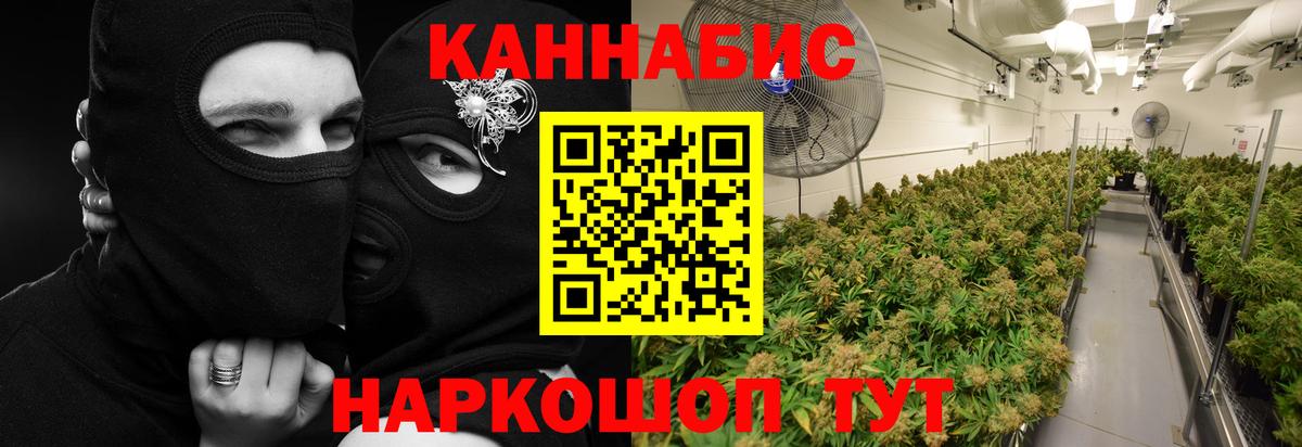 Бошки марихуана гибрид Югорск